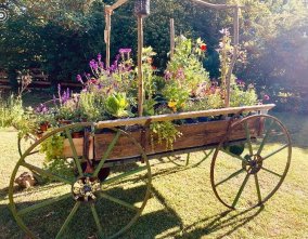 Haycarts