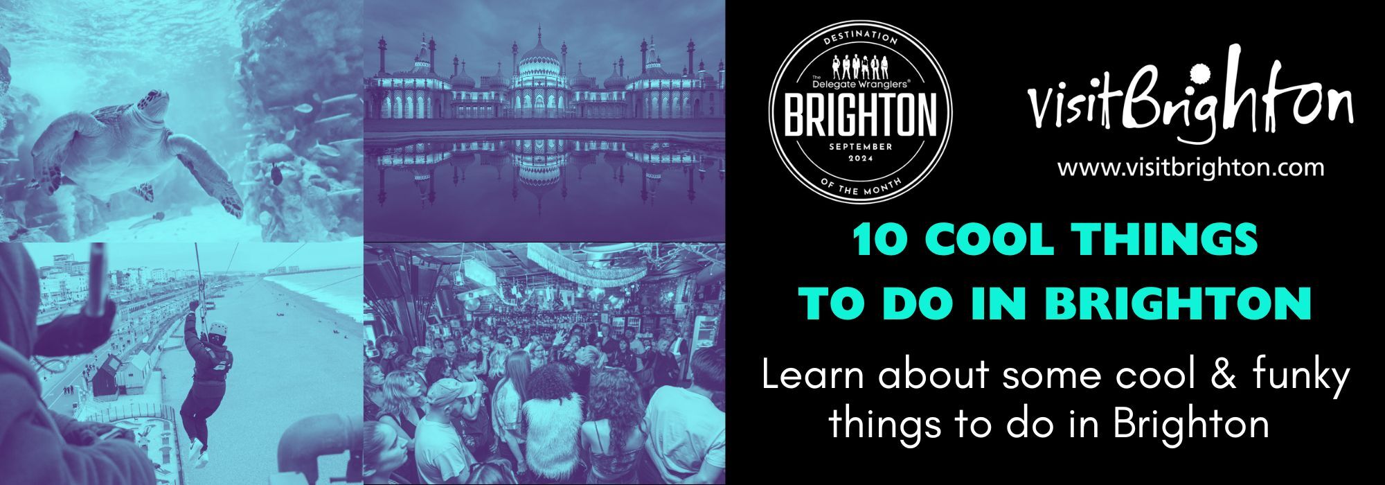 10 Cool Things To Do In Brighton