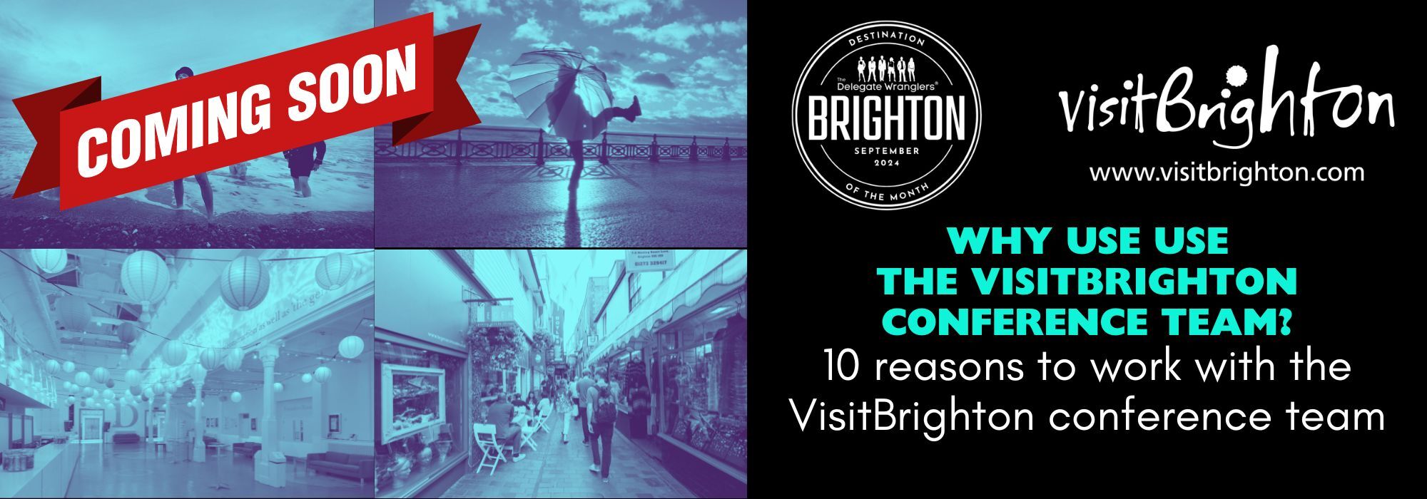 Why Use the VisitBrighton conference Team?